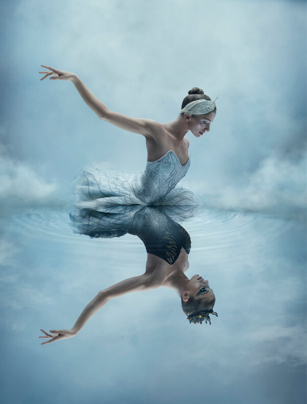 2526 Swan Lake Website Thumbnail 520x684
