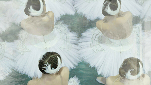 SWANLAKE