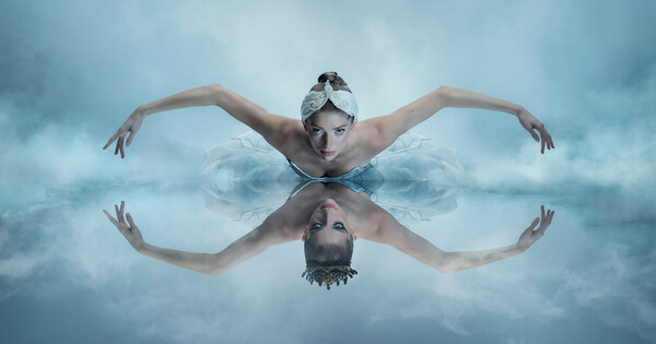 2526 Swan Lake Website Banner 1900x1000