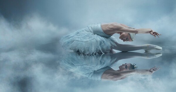 Swan lake casting banner