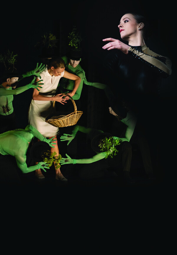 Oconnors calgary logo